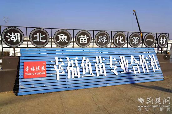 6、湖北魚苗第一村_副本.jpg