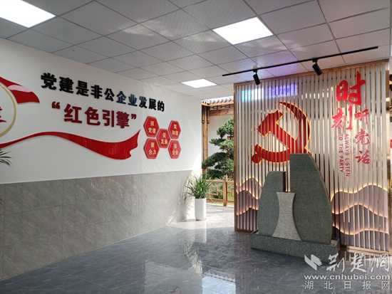 長(zhǎng)江礦業(yè)非公黨建1.jpg