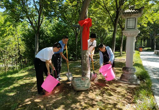葉家樂一家給櫸樹松土、澆水_副本.jpg