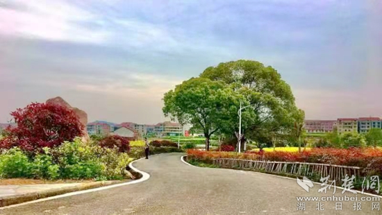 四望鎮(zhèn)高垴村.jpg