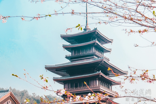 東山問(wèn)梅村散花閣櫻花1.JPG