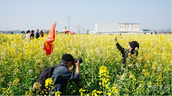 崇陽賞花4.jpg