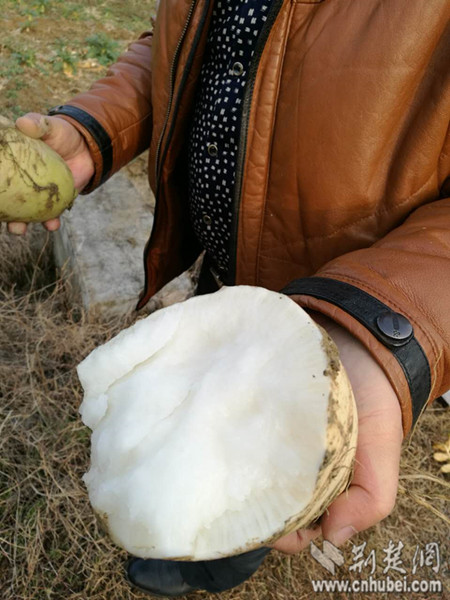 IMG_1804_副本.jpg IMG_1804_副本.jpg